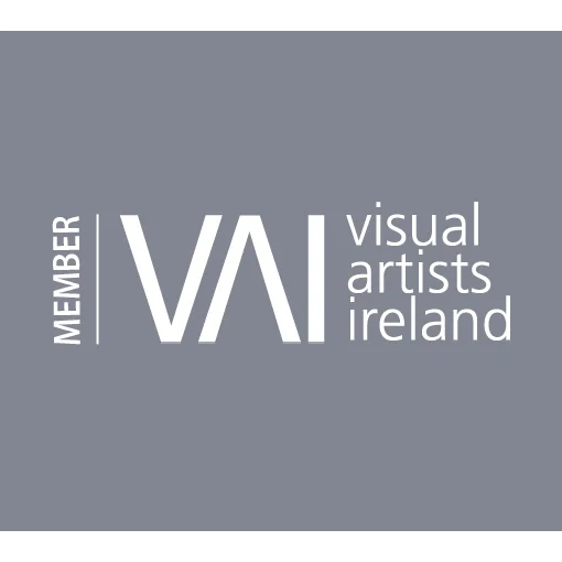 Visual Artists Ireland Gerry O'Mahony VAI Member